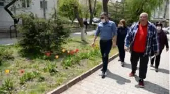 Pursaklar lalelerin göz alıcı güzelliği ile taçlanıyor