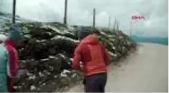 SPOR 104 ülkeden 77 bin kişi, omurilik felçlileri için koştu
