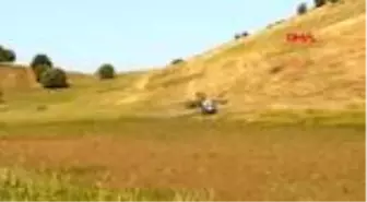 Tire, çekirgelerden temizleniyor
