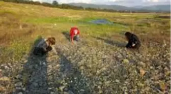 Balıkesir'de hıdrellez kutlamalarına virüs engeli