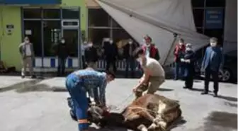 Örenli ailesi kurbanı belediyeye bağışladı