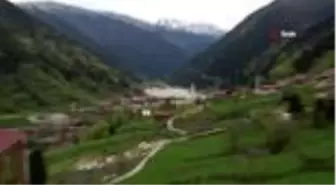 Turizm merkezi Uzungöl yaban hayvanlarına kaldı