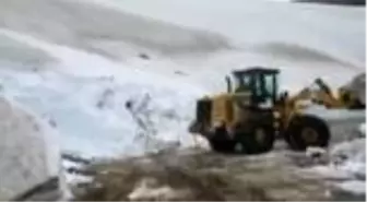 Ordu'nun yüksek kesimleri beyaza büründü