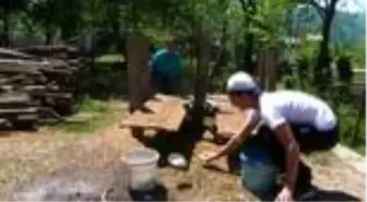 Sokağa çıkamayan çocukları için evinin bahçesine oyun parkuru kurdu