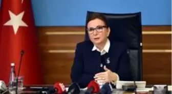 Ticaret Bakanı Pekcan, tır şoförleri için Ro-Ro gemisi iznini açıkladı