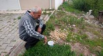 Sokak hayvanlarına her gün su ve yemek veriyor