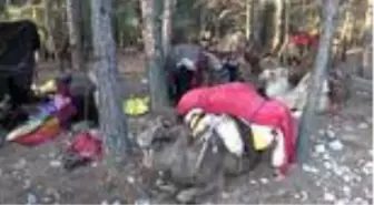 MERSİN Yörüklerin 20 gün sürecek yaz göçü başladı