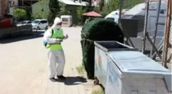 Uludere Belediyesi ilaçlama çalışmalarına başladı