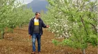 Tufanbeyli'den üretime destek