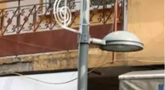 İzmit İnönü Caddesi sardunyalarla renklendi