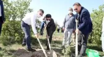 Nevşehir'de yeni doğan ve vefat edenler için 600 fidan dikildi