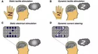 Görme Engelliler İçin Beyne Sinyal Gönderen Teknik Geliştirildi