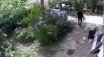 YAVRU KARGALARA YARDIM ETMEK İSTERKEN DİĞER KARGALARIN SALDIRISINA UĞRADI.