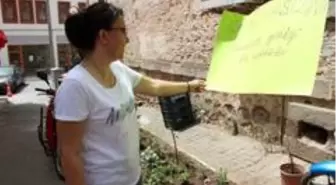 Çiçek hırsızına afişle önce çağrı, sonra teşekkür