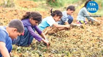 Çocuk işçiler, salgın, güvencesiz hayat: Mevsimlik işçiler başka bir dünyada yaşıyor