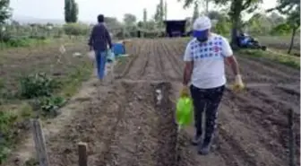 Antrenörler virüs günlerini bahçede değerlendirdiler