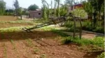 Kahramanmaraş'ta fırtına, ağaçları devirip elektrik direklerini büktü