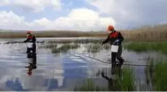 Başkent'te ilaçlama seferberliği