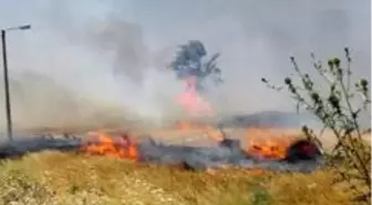 Seka'da çıkan yangın korkuttu