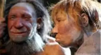 Neandertal geni doğurganlığı artırıyor