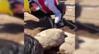 Patara'da bulunan 'Eros heykeli' kazı ekibine çifte bayram yaşattı
