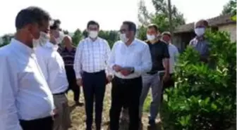 AK Parti'li Doğru: 'Bölgede büyük bir afet yaşandı'