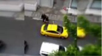 Böyle vicdansızlık görülmedi: Taksici doğum yapan kadını aracından böyle attı