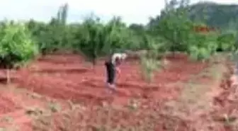 TOKAT 63 gündür tek başına bağ evinde kalıyor