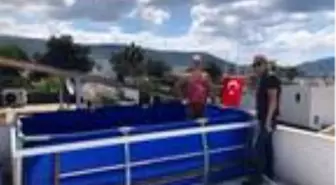 Koronavirüse karşı terasa havuz kurdu (Görüntülü Yeniden)