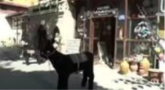 Son dakika haber: Kapadokya'da çanakçılar yeniden toprakla buluştu