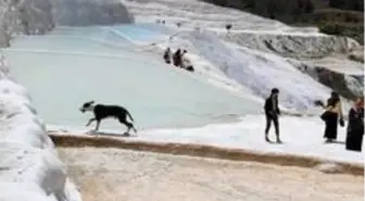 Pamukkalle aylar sonra kapılarını açtı