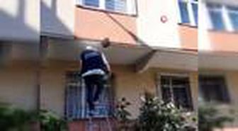 Arılar apartman duvarına yuva yaptı