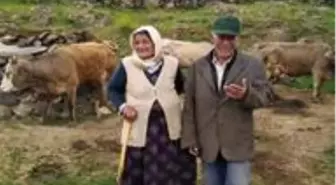 Hayvanlarının aşısını yaptıramayan çifte ekiplerden destek