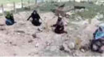 Erzurum'daki kız kaçırma kavgasında eşlerini kaybeden 4 kadın, katillerin idamını istedi