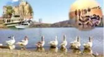 Adım adım ferahlık
