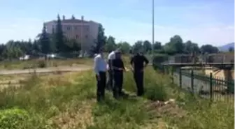 Asar ve Karaca derelerinde çalışma yapılacak
