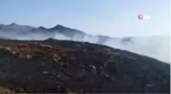 Son Dakika: Bodrum'da korkutan yangın