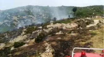Bozdoğan'da makilik alanda yangın