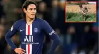 Galatasaray ve Fenerbahçe'nin gündemine gelen Cavani, çiftçi oldu