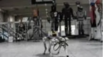 Geliştirdikleri 4 ayaklı robot, insanlar için tehlikeli işlerde kullanılacak