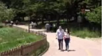 Gölcük Tabiat Parkı'nda beklenen yoğunluk yaşanmadı