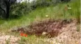 Romalılardan kalma mezar odasını talan ettiler