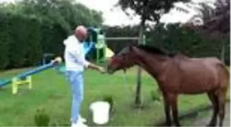 Sokakta bulduğu atı evine getirdi