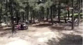 Yasağın kalkmasıyla vatandaşlar piknik alanlarına akın etti