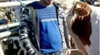 Yem karma makinesine düşen çiftçi, öldü