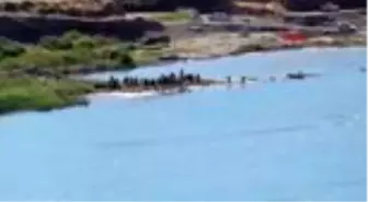 ŞIRNAK Dicle Nehri'nde akıntıya kapılan 2 kardeşten biri öldü, diğeri kayıp