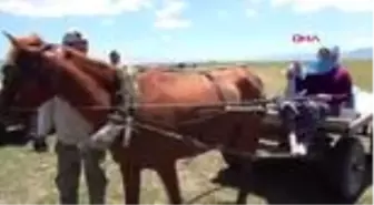 MUŞ BERİVANLARIN ATLI FAYTONLARLA SÜT SAĞIM YOLCULUĞU