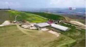 Kangal köpekleri hem korunacak hem de pazarlanacak