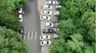 Son dakika haberleri... (havadan fotoğraflar) Belgrad Ormanı'na piknikçi akını