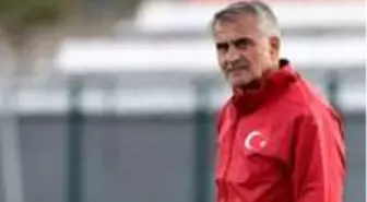 Şenol Güneş, EURO 2020'deki rakiplerine WhatsApp'tan seslendi: Atmosferi hayal et